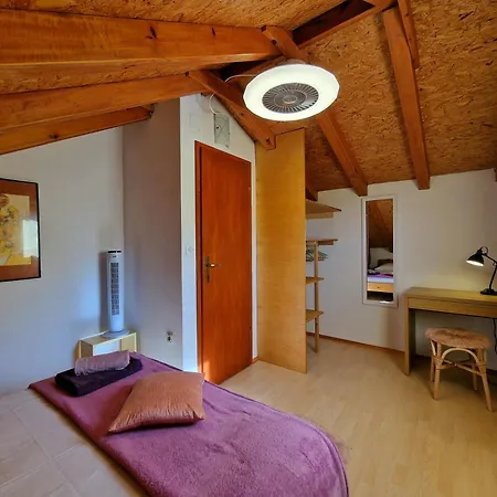 Maslinova Vela Luka