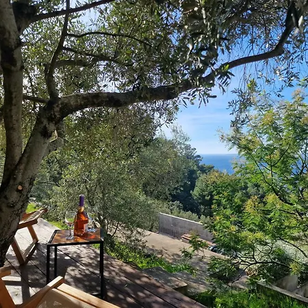 Maslinova Vakantiehuis Vela Luka